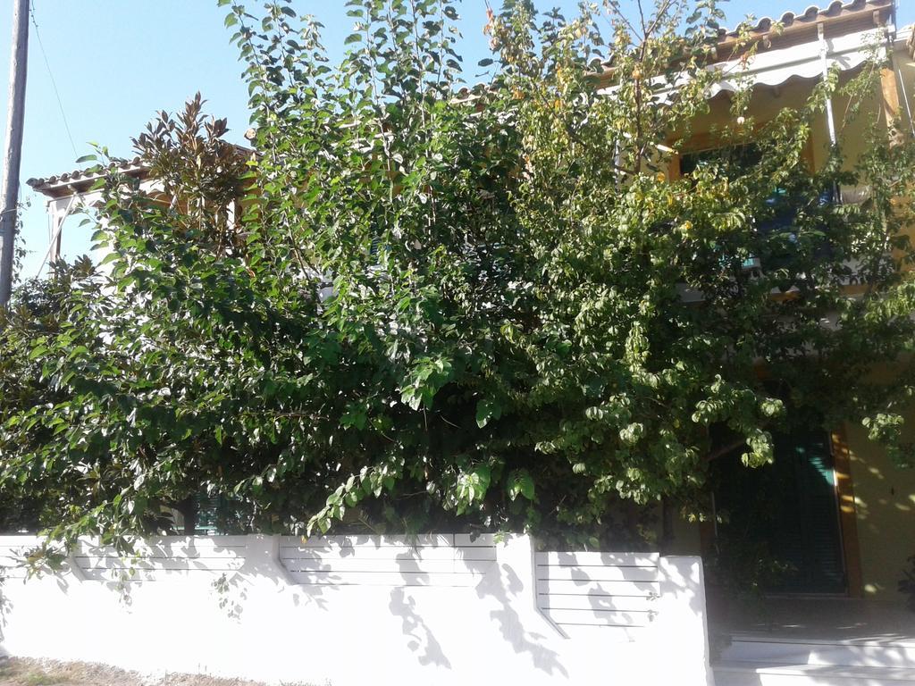 Lenia Studios Kalamítsi Exterior foto